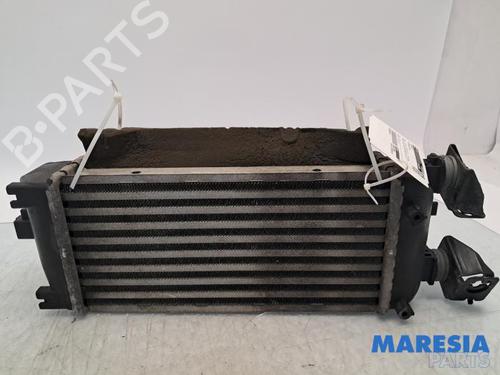 Used Intercooler Intercooler FIAT PANDA (312_, 319_) 0.9 (312PXN1A, 312PXN11) (80 hp) 33411266 33411266