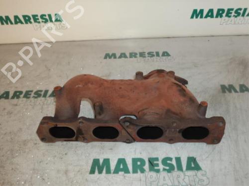Used Exhaust manifold PEUGEOT 406 (8B) 1.8 16V (110 hp) 31491091