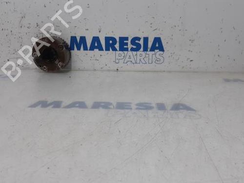 Used Pulley RENAULT SCÉNIC III (JZ0/1_) 1.2 TCe (116 hp) 31487968