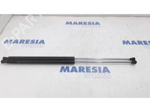 tailgate-lift-support-peugeot-207-cc-wd_-2007-2008-2009-2010-2011-2012-2013-2014-2015-31506953 main image