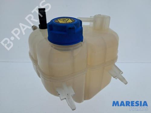 expansion-tank-fiat-panda-312_-319_-2012-34571424 main image