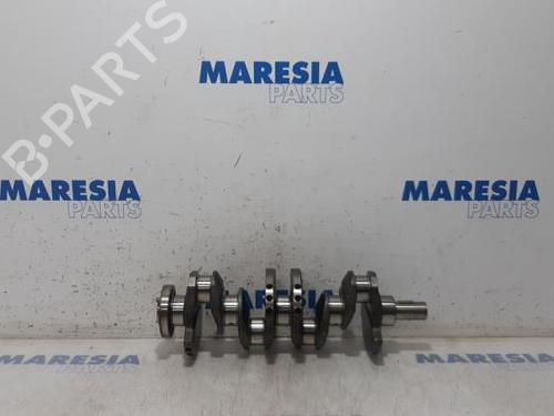 BP31529195O1 main image