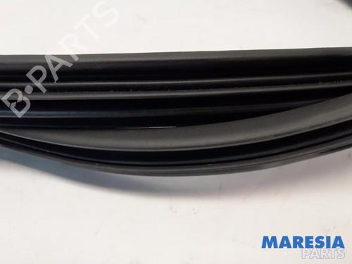 Gummiliste RENAULT ZOE (BFM_) ZOE (BFMD) | BP31527313C142 - Image 3