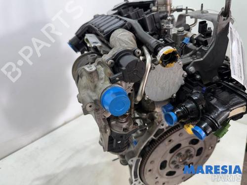 Engine OPEL CORSA F (P2JO) 1.2 (68) | BP31408568M1 