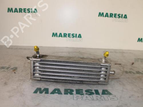 Used Oil radiator FIAT PUNTO (188_) 1.2 16V 80 (188.233, .235, .253, .255, .333, .353, .639,... (80 hp) 31422724