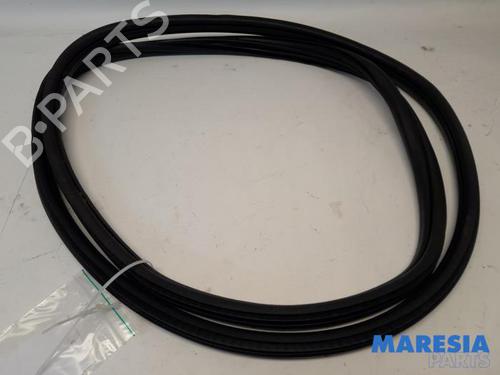 Gummilist DS DS 4 / DS 4 CROSSBACK (NX_) 1.6 BlueHDi 120 (120 hp) 31460907