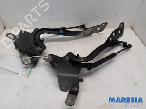 Used Hinge/Door check strap RENAULT SCÉNIC III (JZ0/1_) 2.0 16V (JZ0G, JZ0P, JZ1E, JZ1P) (140 hp) 31398901