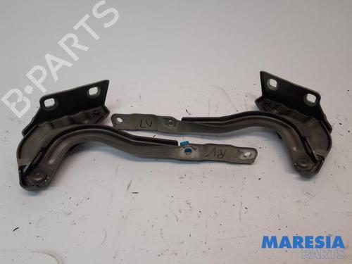 Used Hinge/Door check strap LANCIA YPSILON (312_) 0.9 TwinAir (312.PXG11, 312.PXG1A, 312.YXG11, 312.YXG1A) (86 hp) 31503155