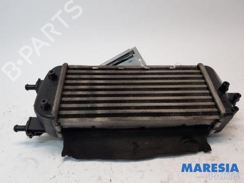 Intercooler LANCIA YPSILON (312_) 0.9 TwinAir (312.PXG11, 312.PXG1A, 312.YXG11, 312.YXG1A) (86 hp) 31444528