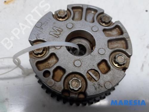 Used Pulley RENAULT SCÉNIC III (JZ0/1_) 2.0 16V (JZ0G, JZ0P, JZ1E, JZ1P) (140 hp) 31508187