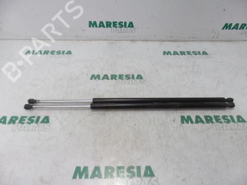 Gasdæmper bagklap RENAULT ESPACE IV (JK0/1_) 2.0 dCi (JK02, JK03) (131 hp) 31502426