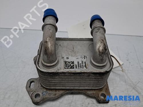 Used Oil radiator Oil radiator RENAULT CLIO IV Grandtour (KH_) 0.9 TCe 90 (90 hp) 33296137 33296137
