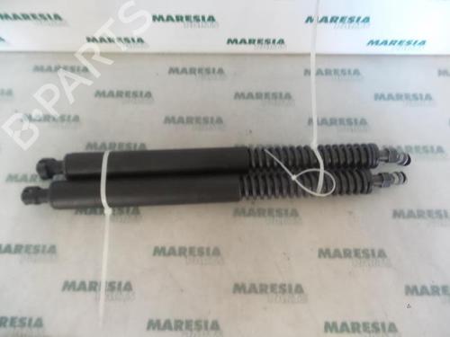 tailgate-lift-support-peugeot-307-cc-3b-2003-2004-2005-2006-2007-2008-2009-31456502 main image