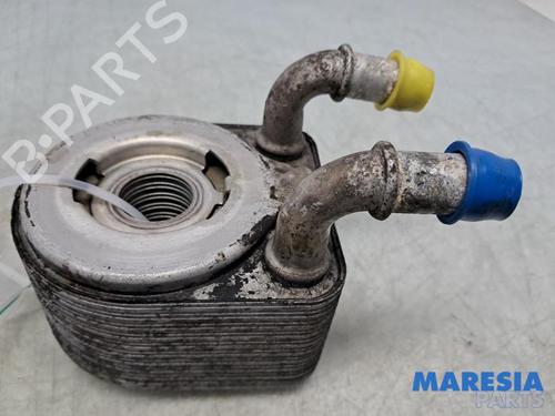 Used Oil radiator RENAULT MEGANE III Grandtour (KZ0/1) 1.4 TCe (KZ0F, KZ1V) (130 hp) 32099573