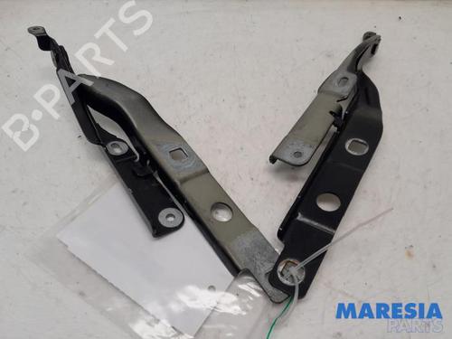 BP31482935C146 main image