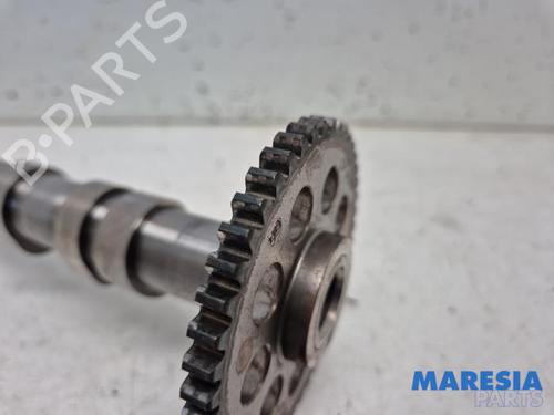 Other FIAT PUNTO (199_) 0.9 | BP31402331O1 