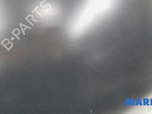 Hood FIAT 500 (312_) 0.9 (312AXG1A, 312.AXG11) | BP31391162C1