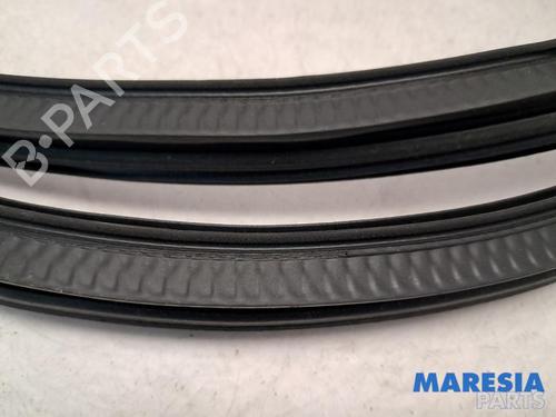 Gummiliste CITROËN C3 III (SX) 1.2 PureTech 82 | BP31477525C142