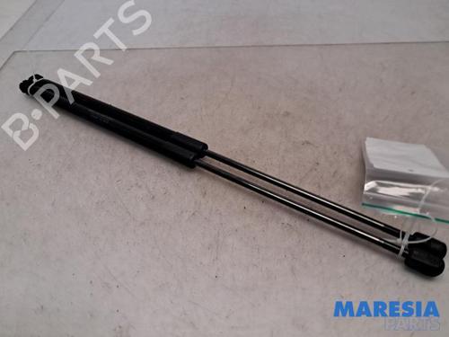 Gasdæmper bagklap FIAT 500L (351_, 352_) 1.4 (199LYF1B) (120 hp) 31448847