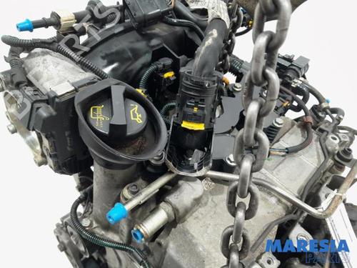 Engine LANCIA YPSILON (312_) 0.9 TwinAir (312.PXG11, 312.PXG1A, 312.YXG11, 312.YXG1A) | BP31403239M1 
