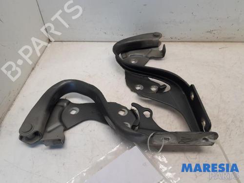 hingedoor-check-strap-fiat-500-312_-2007-31472462 main image