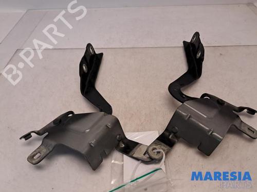 Used Hinge/Door check strap RENAULT CLIO IV Grandtour (KH_) 0.9 TCe 90 (90 hp) 31415484