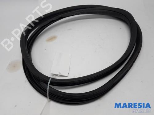 Used Rubber door seal LANCIA DELTA III (844_) 1.4 (844.AXB1A) (150 hp) 31499740