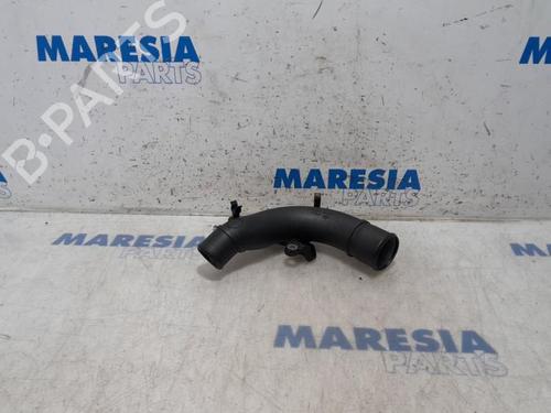 Udstødningssystem RENAULT CAPTUR I (J5_, H5_) 1.2 TCe 120 (118 hp) 31401686