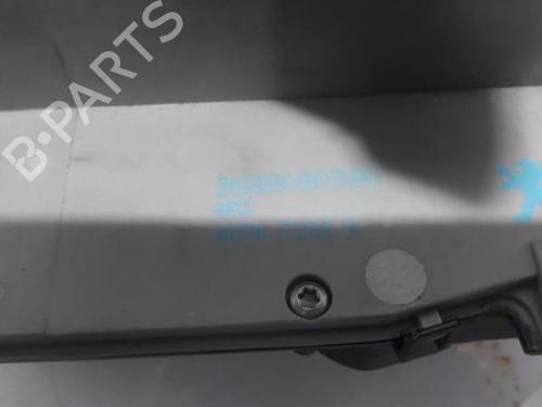 Electronic module PEUGEOT 2008 I (CU_) 1.2 VTi | BP31384006M83