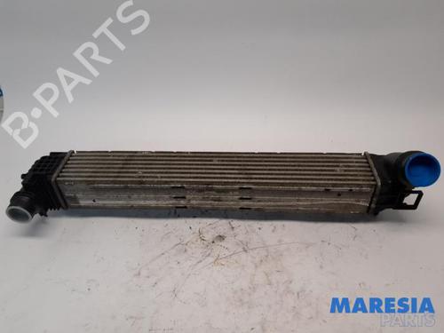 Used Intercooler RENAULT MEGANE III Coupe (DZ0/1_) 2.0 TCe (DZ0K) (180 hp) 31423737