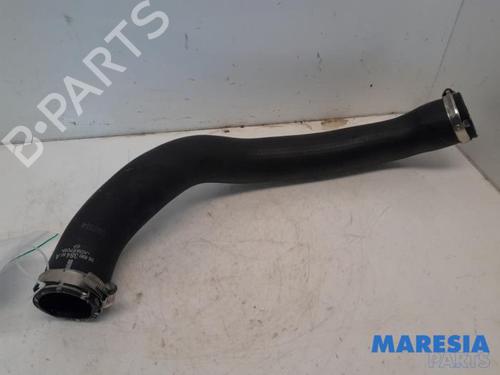 BP31390816M125 main image