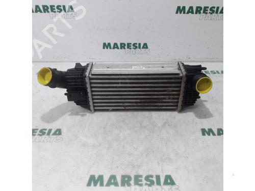 Used Intercooler CITROËN C5 III Break (RW_) 2.0 HDi (136 hp) 31486216