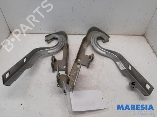 Used Hinge/Door check strap Hinge/Door check strap PEUGEOT 5008 (0U_, 0E_) 1.6 HDi (110 hp) 31462906 31462906