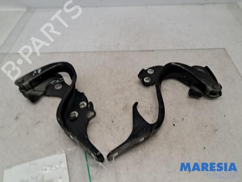 Used Hinge/Door check strap FIAT 500 (312_) 1.2 (312AXA1A) (69 hp) 31505117