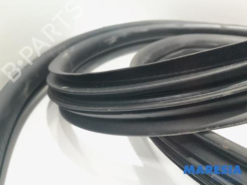 Gummiliste RENAULT MASTER III Van (FV) 2.3 dCi 180 FWD (FV04, FV07) | BP31389741C142