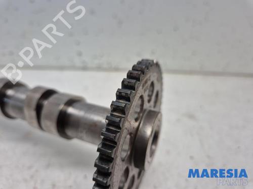 Other FIAT PUNTO (199_) 0.9 | BP31402331O1 