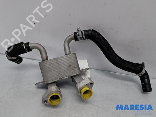 Used Oil radiator ALFA ROMEO GIULIA (952_) 2.9 Quadrifoglio (952AAM24) (510 hp) 31482817
