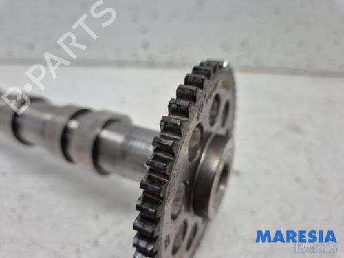 Other FIAT PUNTO (199_) 0.9 | BP31402331O1 