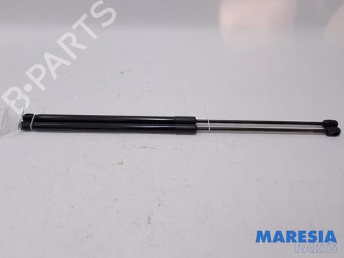 Used Tailgate lift support RENAULT WIND (E4M_) 1.2 TCe 100 (E4MF) (102 hp) 31513239