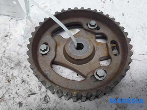 Remskive RENAULT SCÉNIC III (JZ0/1_) 1.5 dCi (110 hp) 31418070