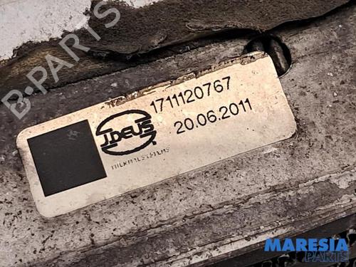 Used Intercooler FIAT 500 C (312_) 0.9 (312AG1A) (86 hp) 31474855