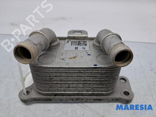 Used Oil radiator Oil radiator RENAULT SCÉNIC IV (J9_) 1.3 TCe 140 (140 hp) 33296483 33296483