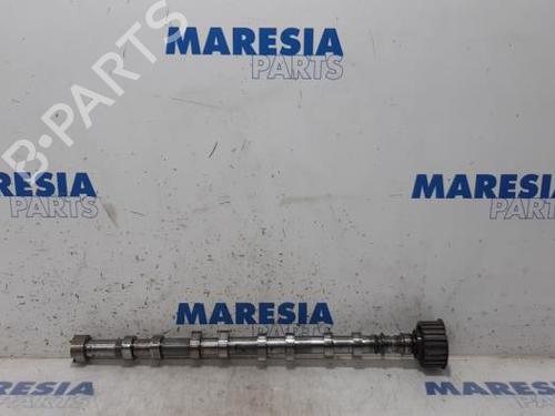 BP31435907O1 main image