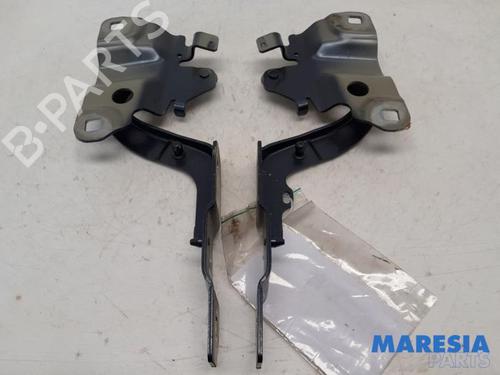 Dørhængsel/Dørbegrænser RENAULT ZOE (BFM_) ZOE (BFMD) | BP31445992C146