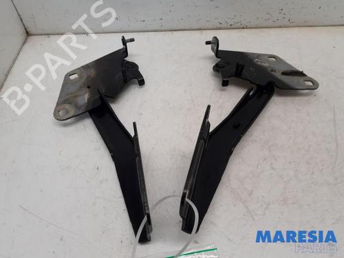 Used Hinge/Door check strap RENAULT MEGANE III Grandtour (KZ0/1) 1.4 TCe (KZ0F, KZ1V) (130 hp) 31495651