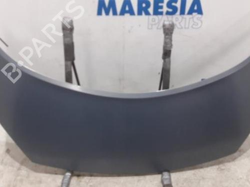 Used Hood RENAULT GRAND SCÉNIC II (JM0/1_) 2.0 (135 hp) 31523581