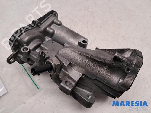 BP31491183M82 main image