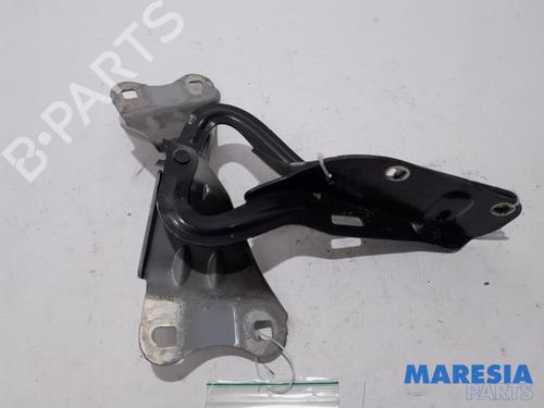 Dobradiça/Esticador de porta RENAULT WIND (E4M_) 1.2 TCe 100 (E4MF) (102 hp) 31439209