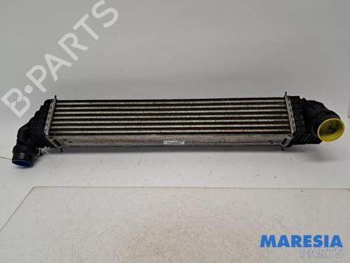 Intercooler RENAULT GRAND SCÉNIC III (JZ0/1_) 1.6 dCi (JZ00, JZ12) | BP31420985M30
