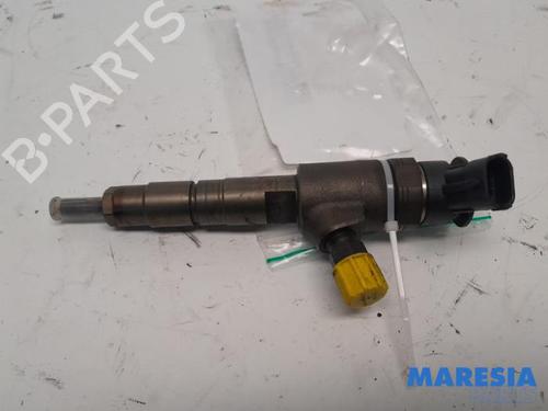 Used Injector CITROËN C3 II (SC_) 1.6 HDi (92 hp) 31529036